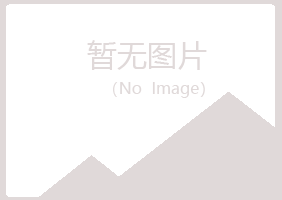 白银平川千城水泥有限公司